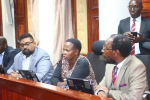 Read more about the article MILESTONES COVERED SO FAR